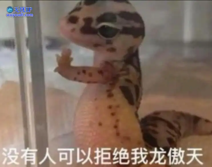 图 (8).jpg