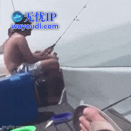 2024_0803_91616f96g00shne1b00urd000780078m.gif