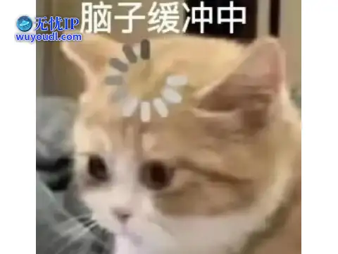 图片16.png