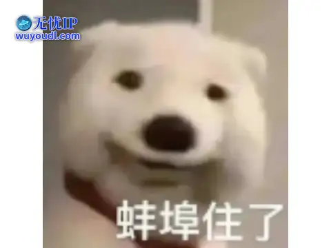 图片17.png