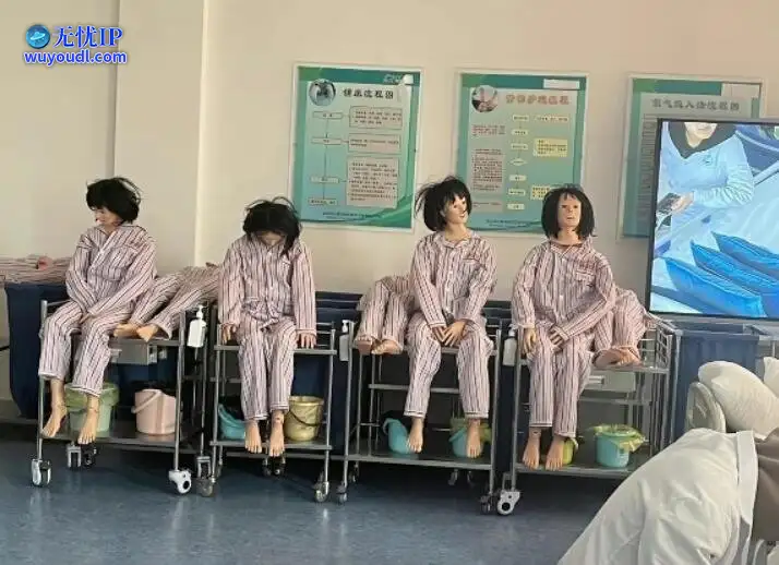 图 (17).jpg