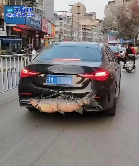 图 (22).jpg