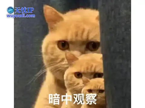 图片12.png