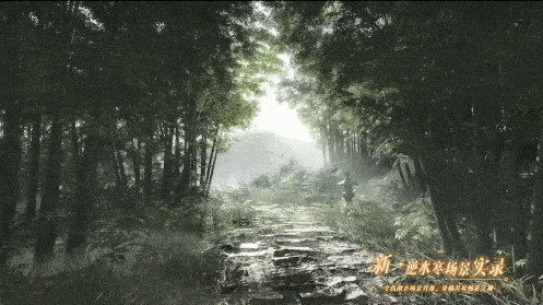 5.gif