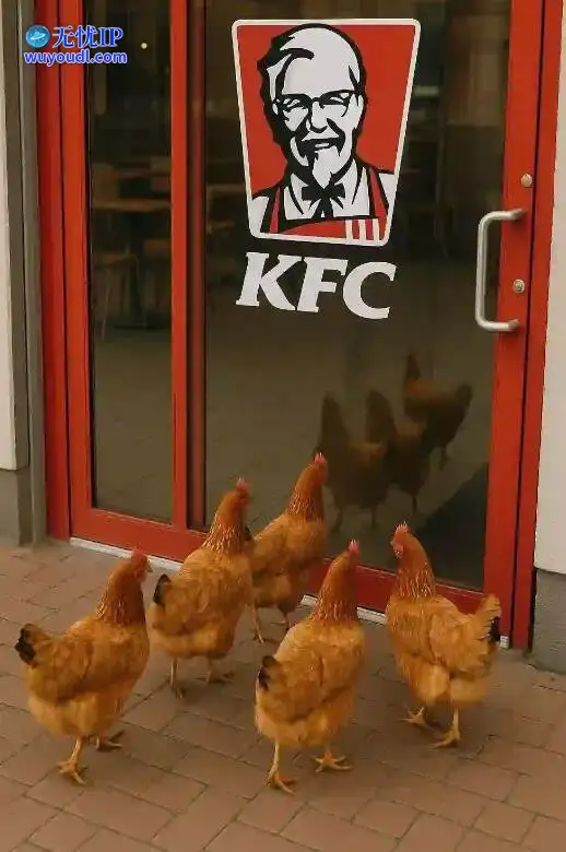 图 (17).jpg