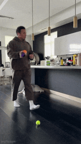 2024_0728_070fddbdg00shblsg01thd0007800cum.gif