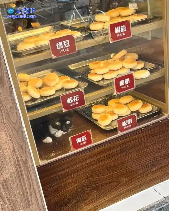 图 (31).jpg