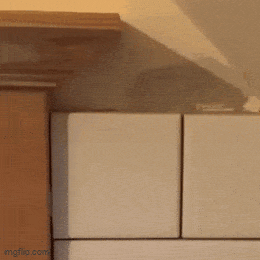 2024_0724_31e8141ag00sh4dsr01acd000780078m.gif