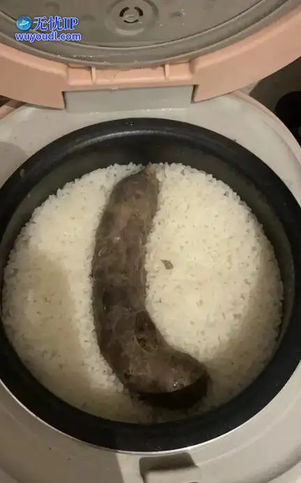 图 (13).jpg