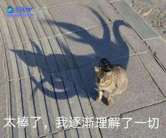 94783281-f6a0-4f0e-8f11-6b49bef98ab1.png