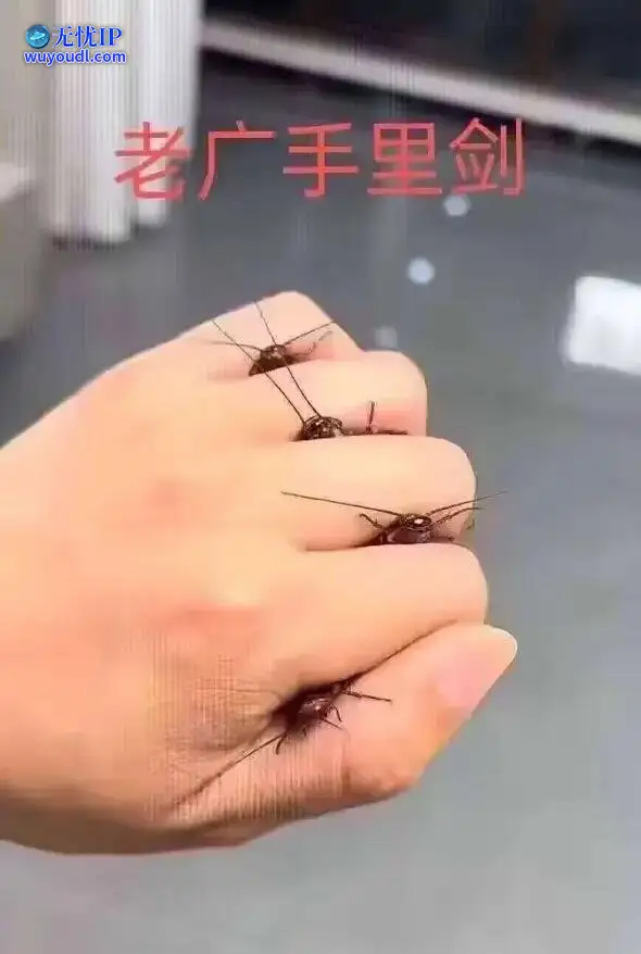 图 (6).jpg