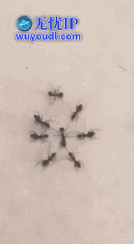 2024_0803_8cd30e76g00shne1b00csd0005c009qm.gif