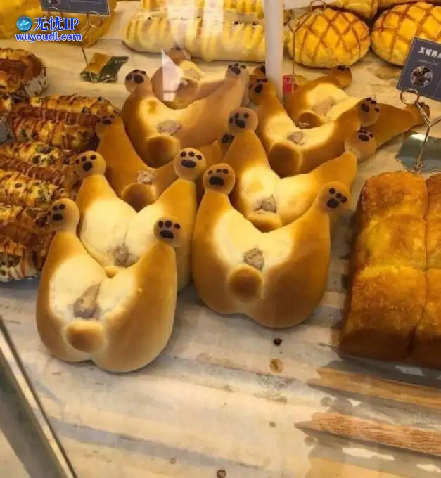 图 (29).jpg