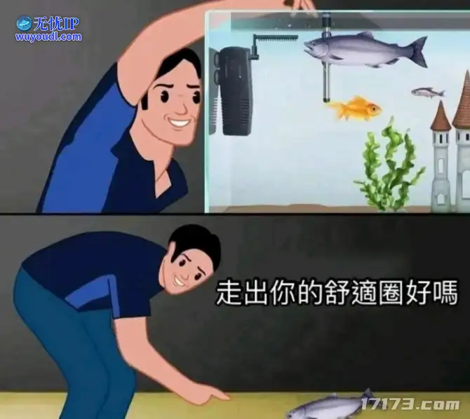 image8.png