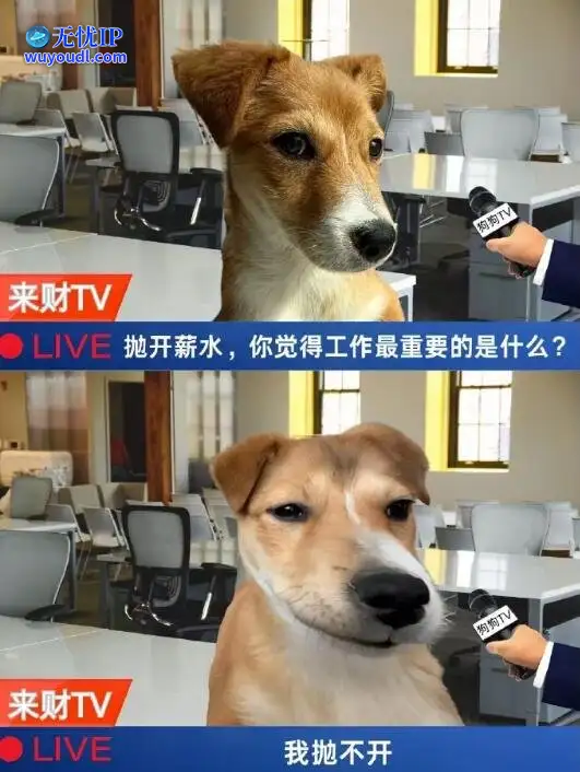 图 (39).jpg