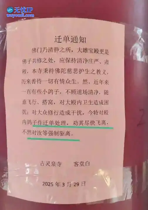 图 (21).jpg