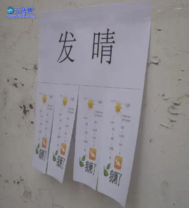 图 (26).jpg