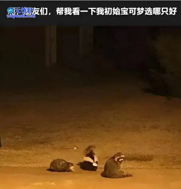 图 (35).jpg