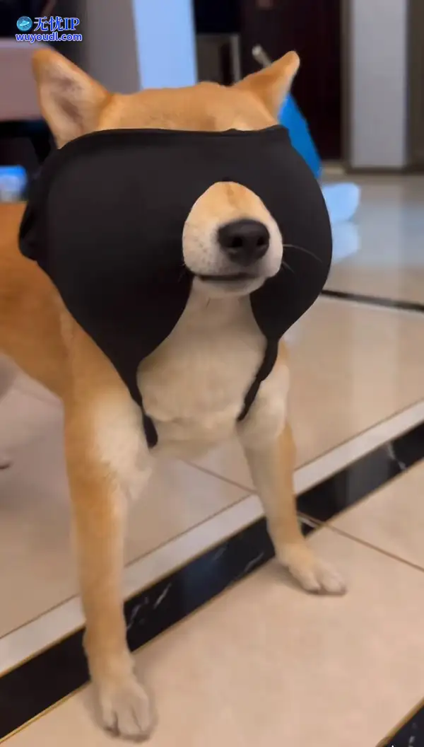 图 (36).jpg