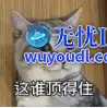 10_AgAABfu9JZgNvpjcEBdLIrFEllONvUqt.png