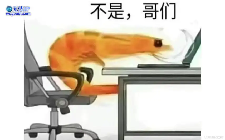 image21.jpg