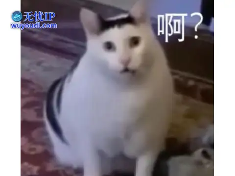 图片15.png