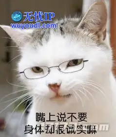 image9.png