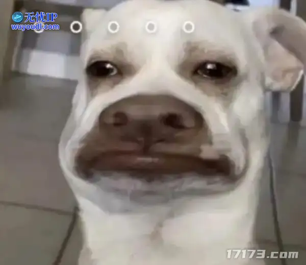 image21.png