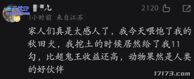 图片24.png