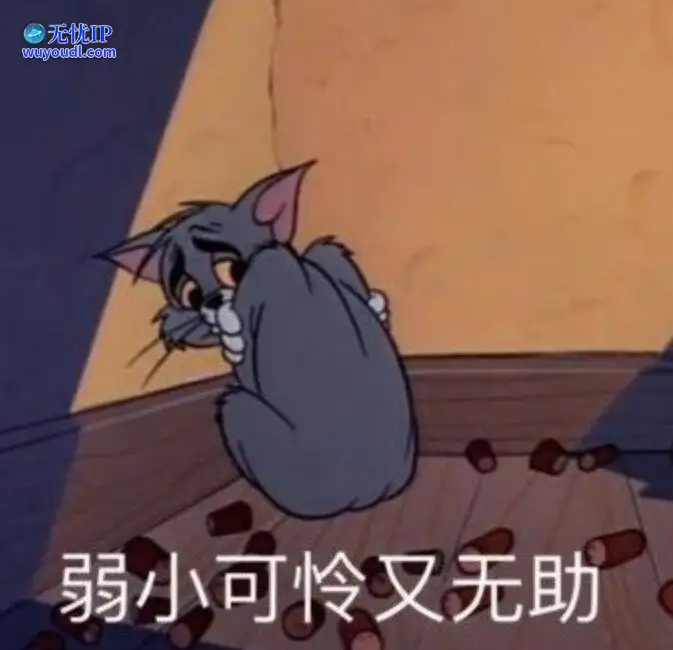 图 (5).jpg