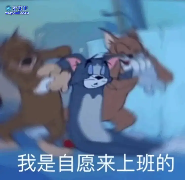 18_AgAABfu9JZi0IwWZlOtNp78yHT8-Eh6P.png