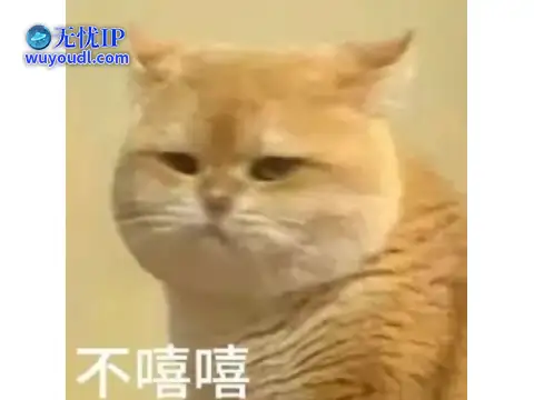 图片6.png