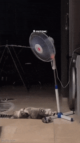 2024_0726_432369f7g00sh7zhq012hd0007800cum.gif