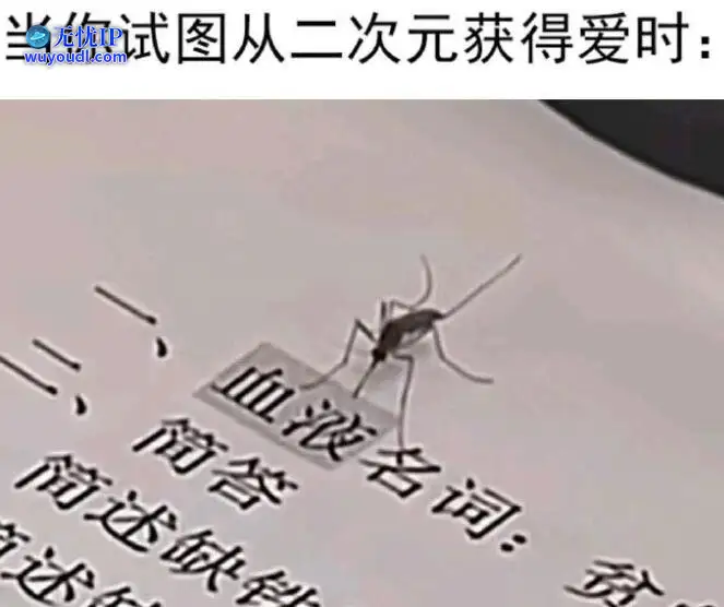 图 (18).jpg