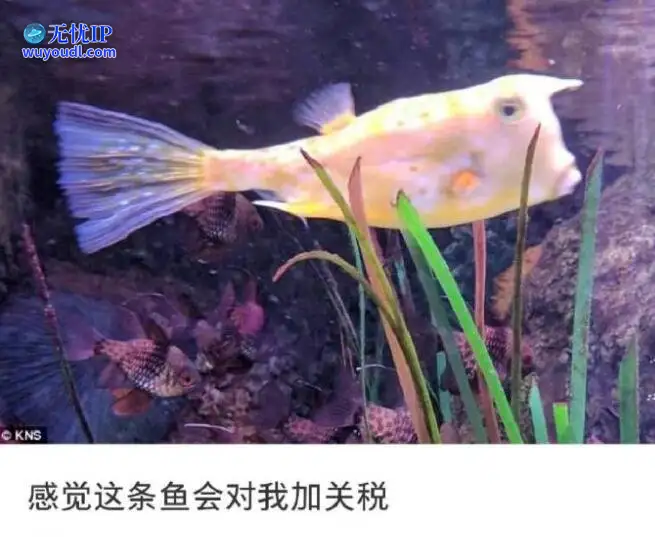 图 (7).jpg