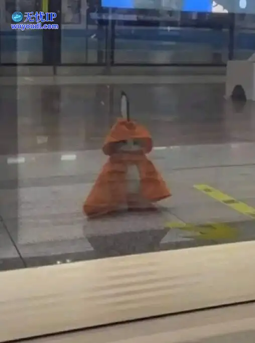图 (37).jpg
