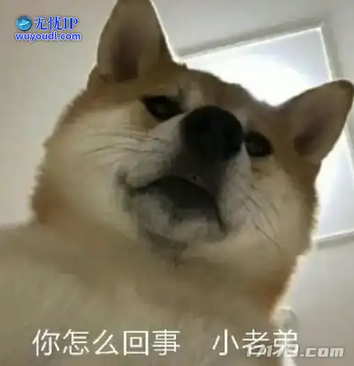 图片2.png