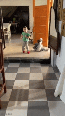 2024_0709_4f998184g00sgchsf02b1d0007800cum.gif