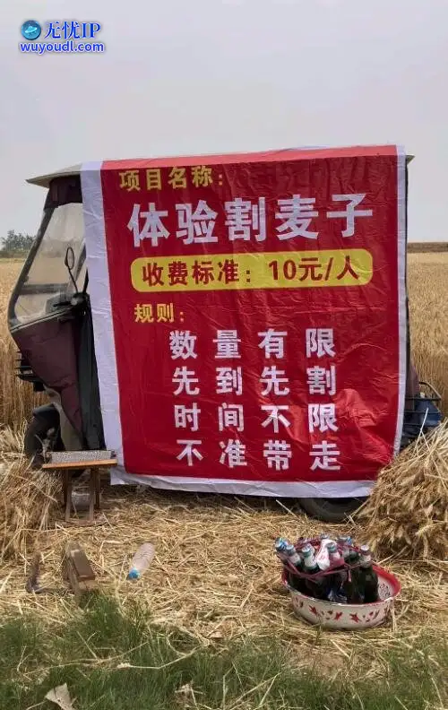 图 (4).jpg