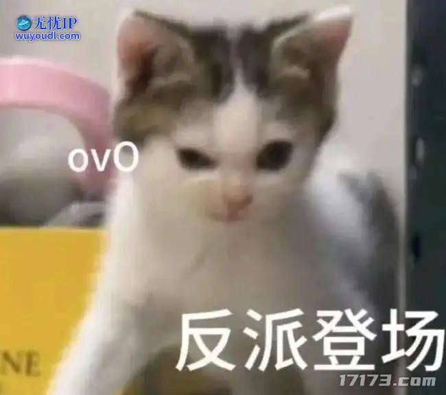 image13.png