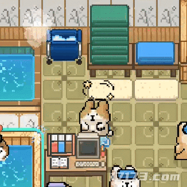 图片6.gif