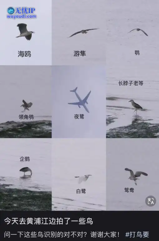 图 (13).jpg