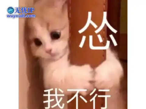 图片25.png