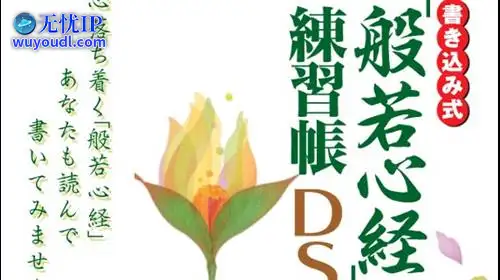无忧IP支持写入式“般若心经”练习册DS