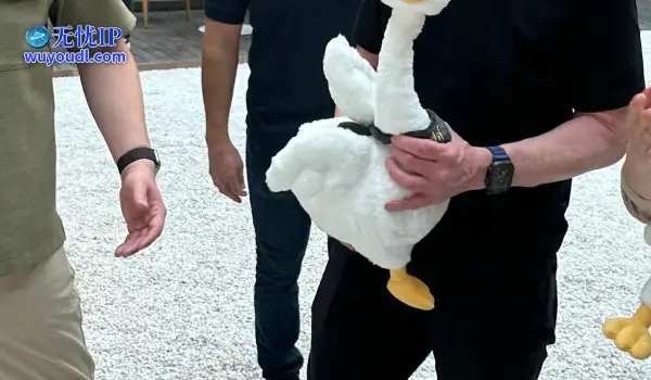 库克闪现网易与丁磊见面，现场体验《燕云十六声》河西版本