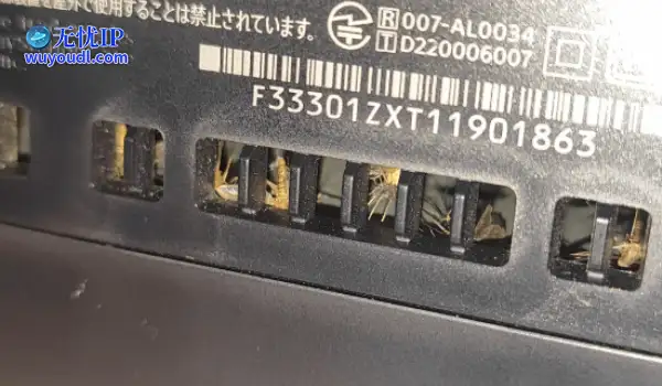 PS5变蚊子收割机！机内尸横遍野 竟是灯光惹的祸